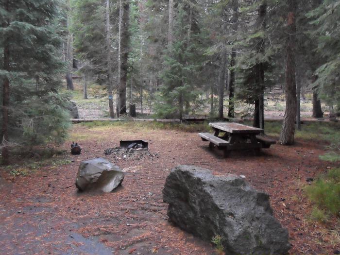 Flat campsite with one picnic table and fire ring.C-10
