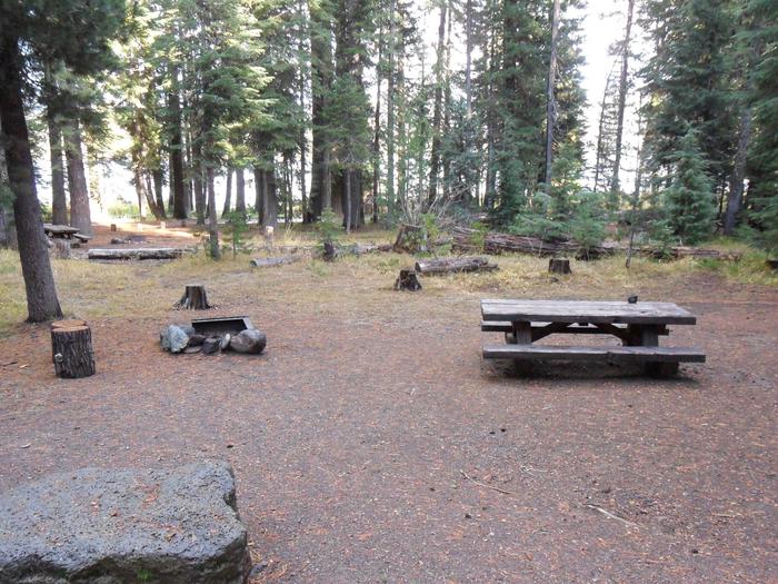 Flat campsite with one picnic table and fire ring.C-11