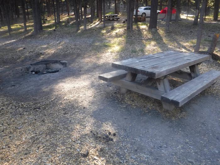 Flat campsite with one picnic table and fire ring.A-01