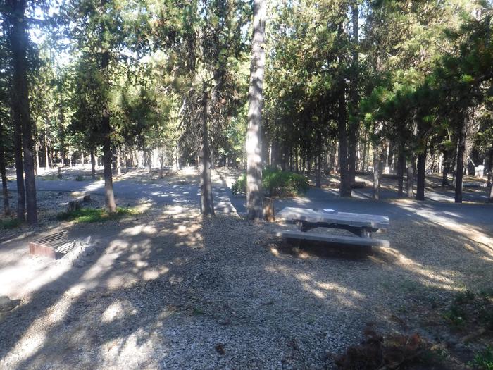 Flat campsite with one picnic table and fire ring.A-03