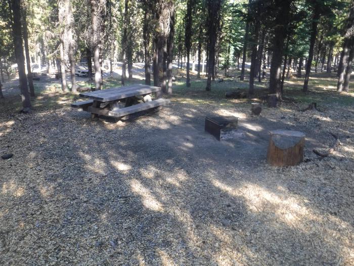 Flat campsite with one picnic table and fire ring.A-06