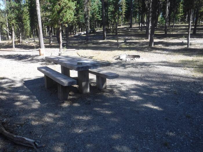Flat campsite with one picnic table and fire ring.J-09
