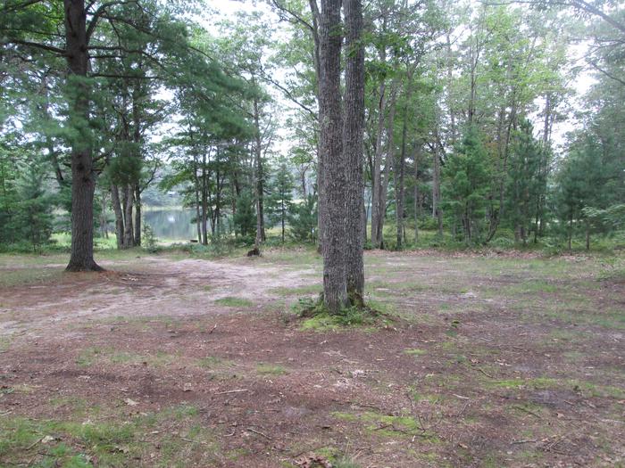 Lyman Lake Site 6