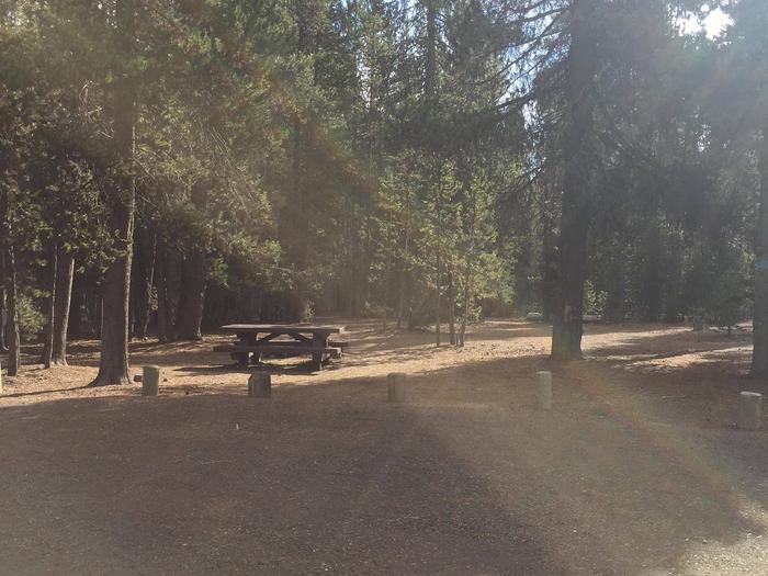 Site 53Paulina Lake Campground