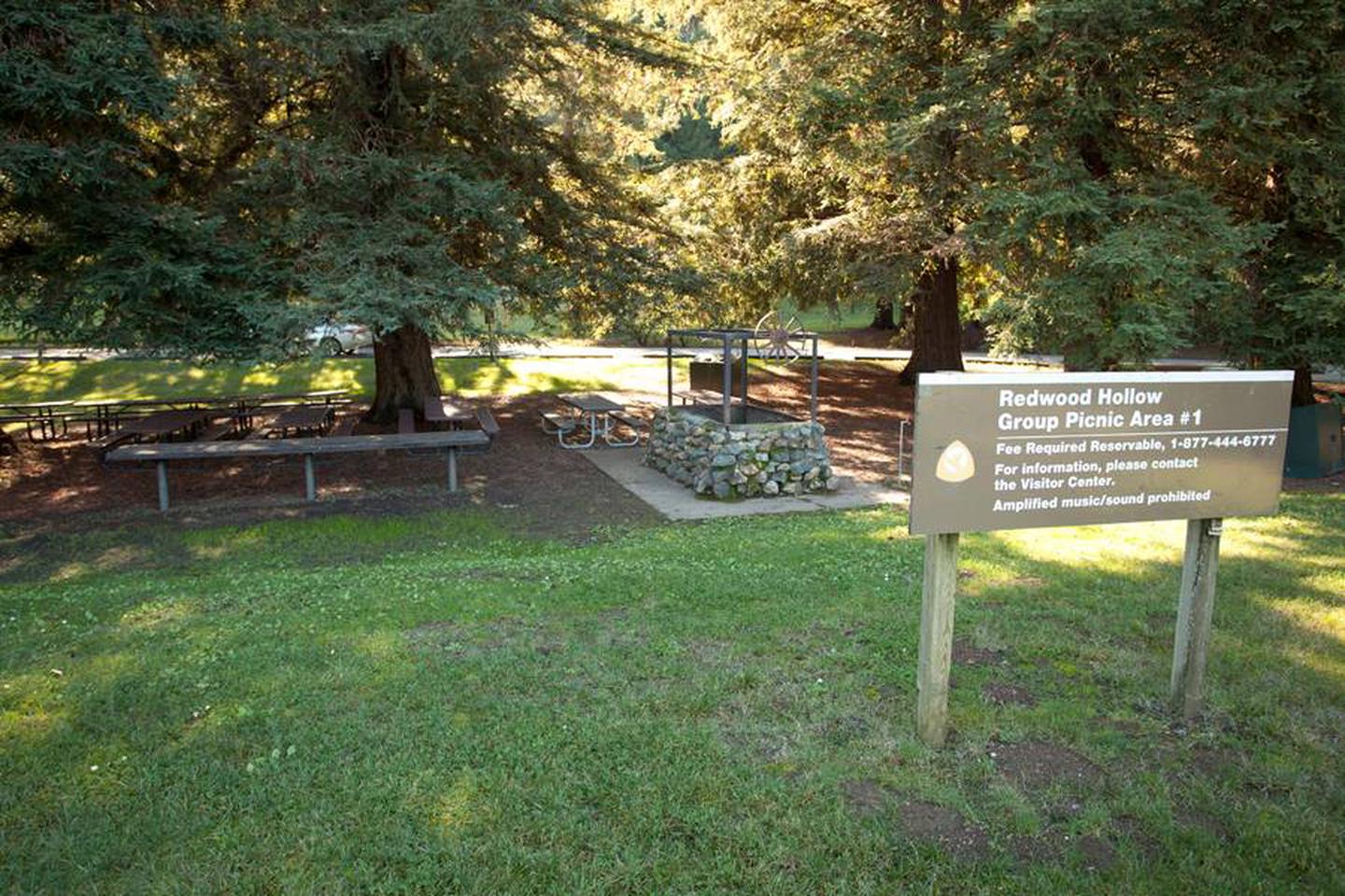 Redwood Hollow Group picnic #1