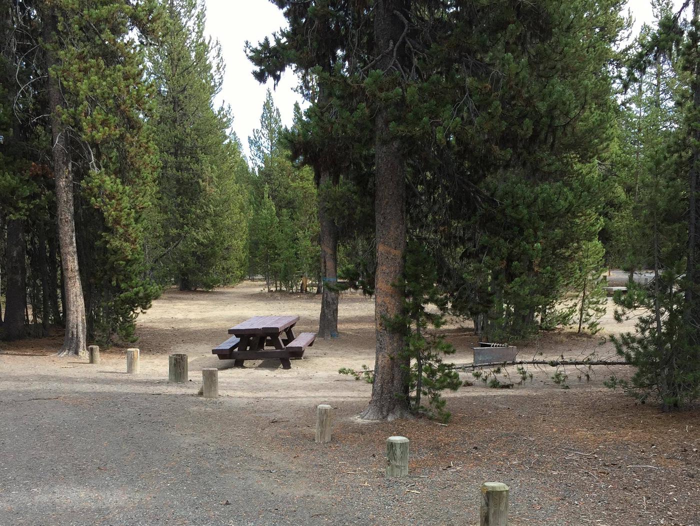 Site 62, Paulina Lake Campground - Recreation.gov