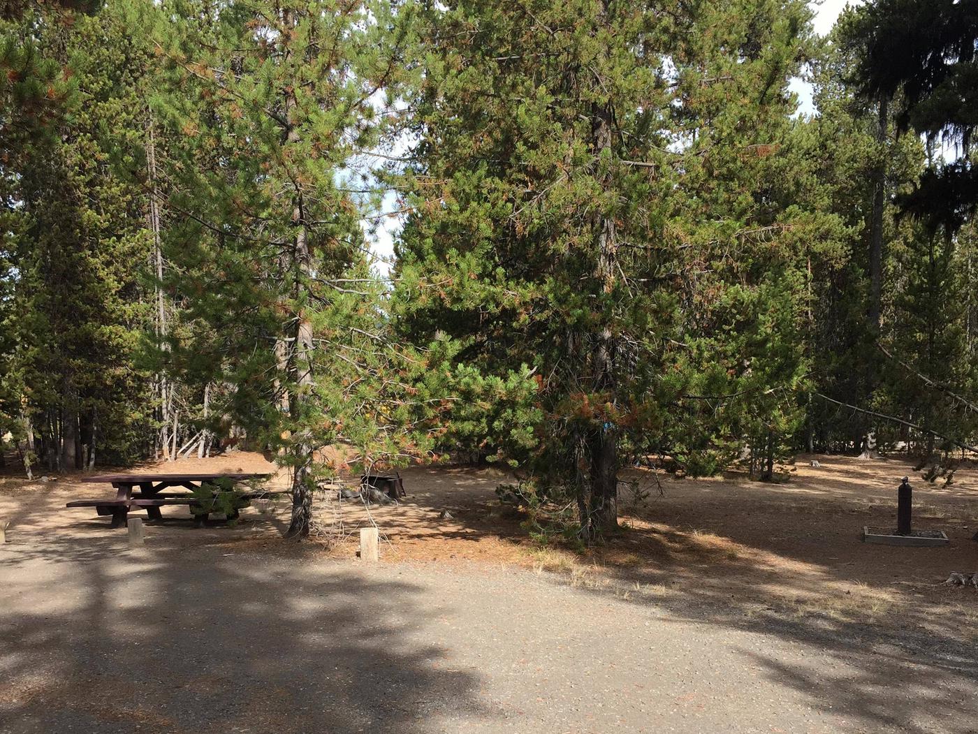 Site 9, Paulina Lake Campground - Recreation.gov