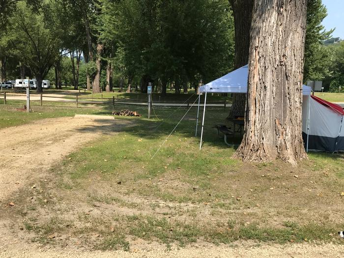 Site 17Close to main boat launch and interpretive building.  Grassy area behind and next to gravel pad with split rail fence between lawn and road behind site and to the side of the site.  Nice large mature trees.