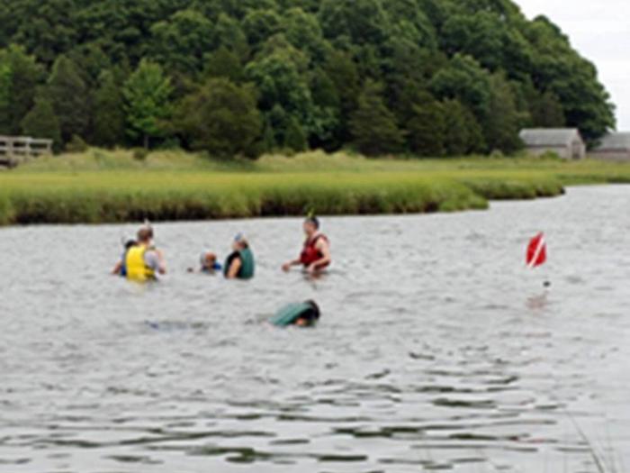 A group of people wearing snorkel equipment in the middle of a pond.