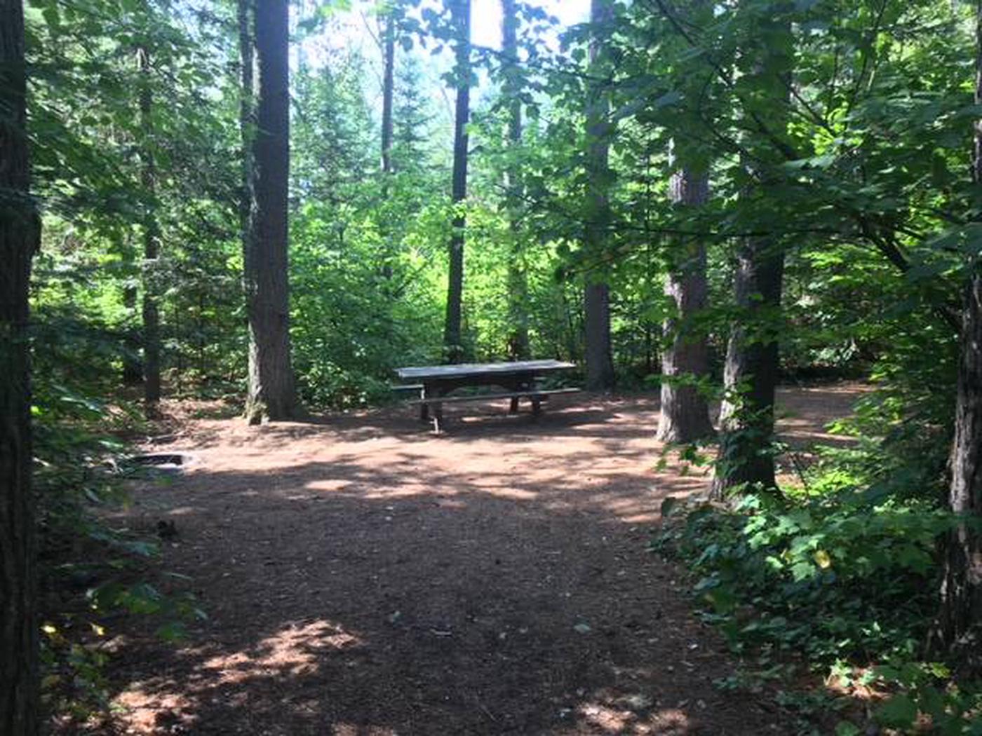 Site 030, Sawbill Lake Campground - Superior National Forest 