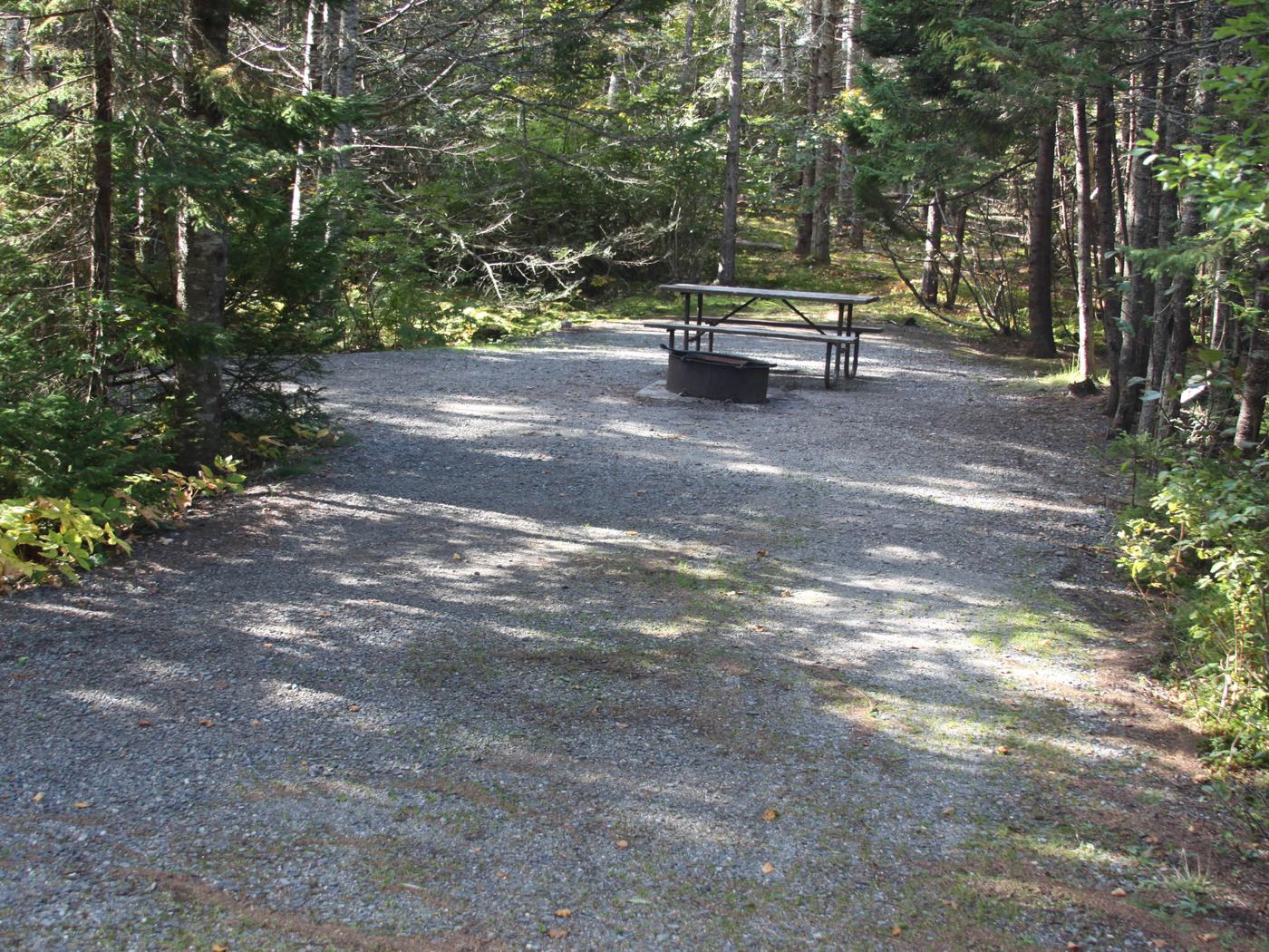 Site B07, Seawall Campground - Recreation.gov