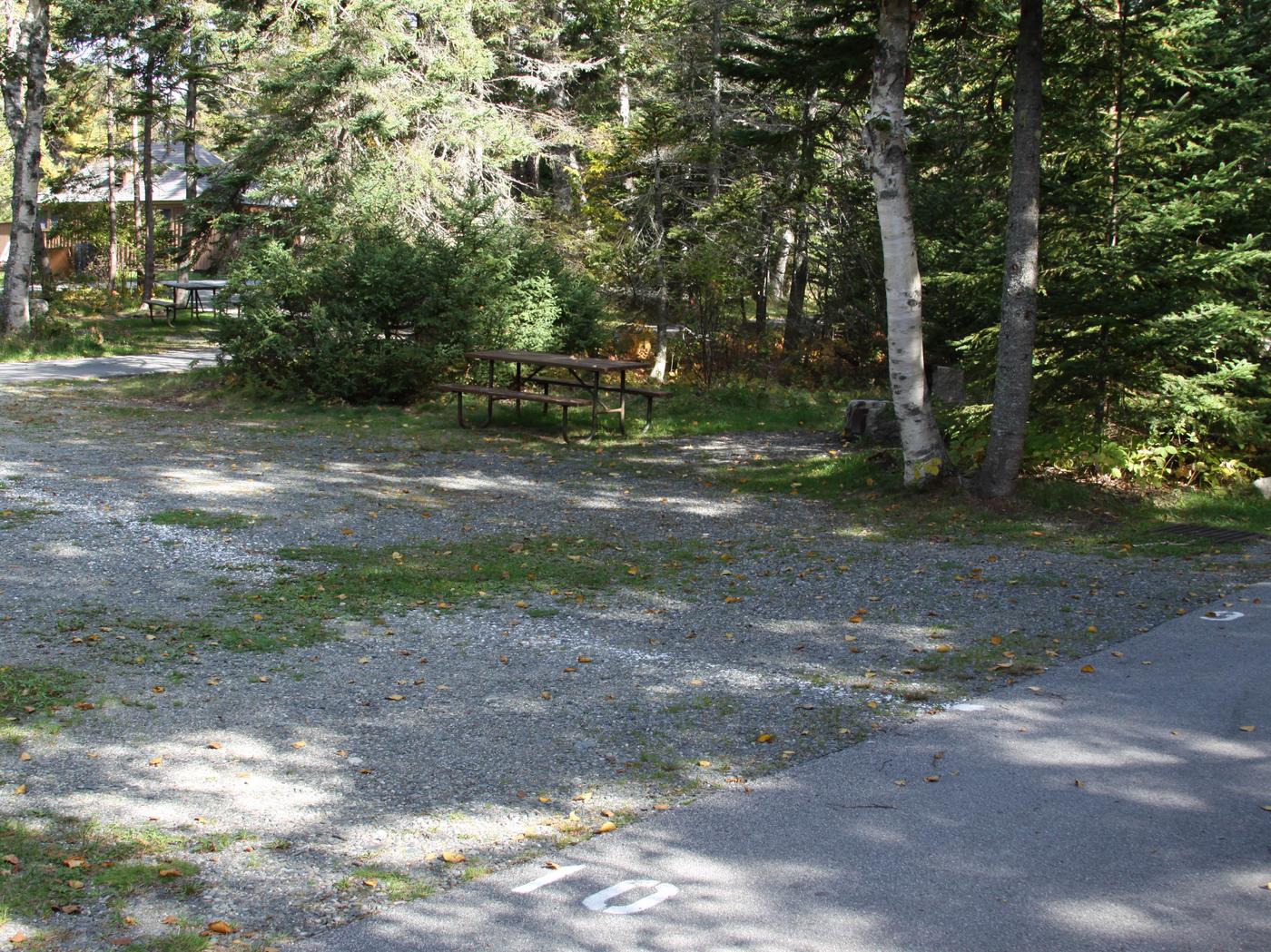 Site C09, Seawall Campground - Recreation.gov