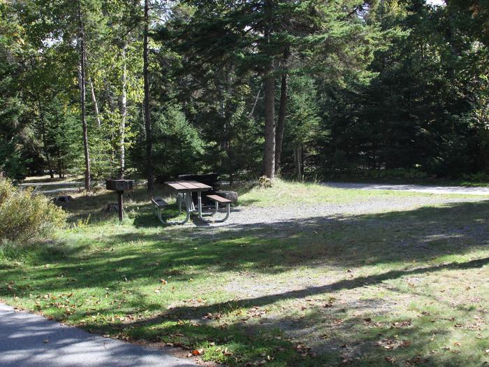 Site C19 (Admin), Seawall Campground - Recreation.gov