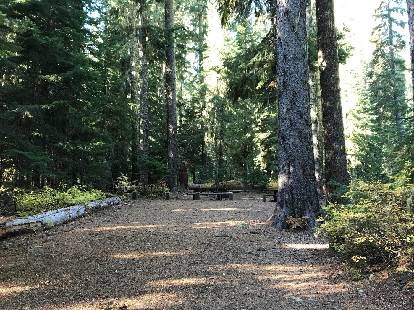 Site 028, Trapper Creek Campground Recreation.gov