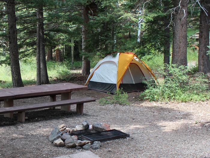 Camping at Cedar Canyon campgroundCamping at Cedar Canyon Campground