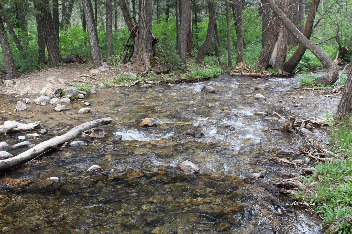Little Hellroaring CreekLittle Hellroaring creek runs behind the cabin before it flows into Spanish Creek 