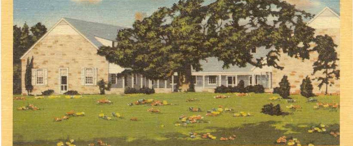 Roosevelt Library circa 1949 postcard