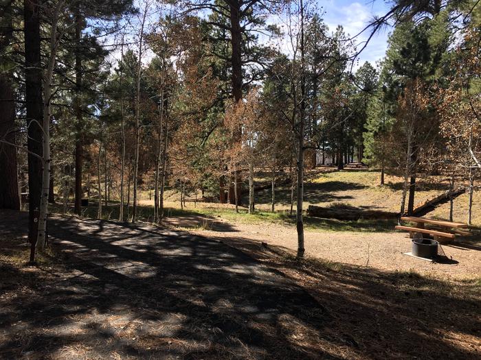 Picnic table, fire pit, and driveway for North Rim Campground, Site 6.