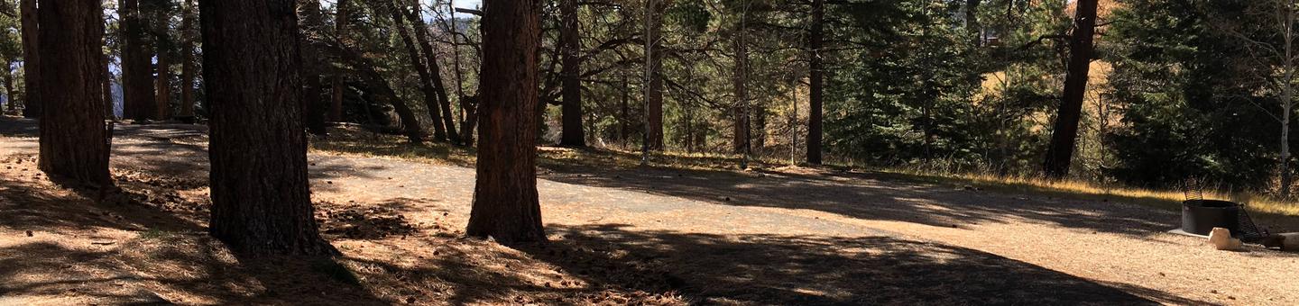 Picnic table, fire pit, and driveway for North Rim Campground, Site 9.