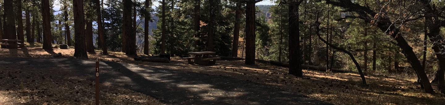 Picnic table, fire pit, and driveway for North Rim Campground, Site 10.