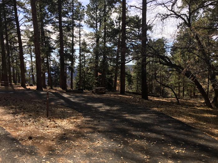 Picnic table, fire pit, and driveway for North Rim Campground, Site 10.