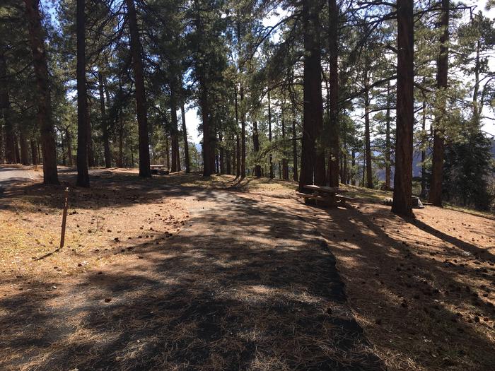 Picnic table, fire pit, and driveway for North Rim Campground, Site 11.