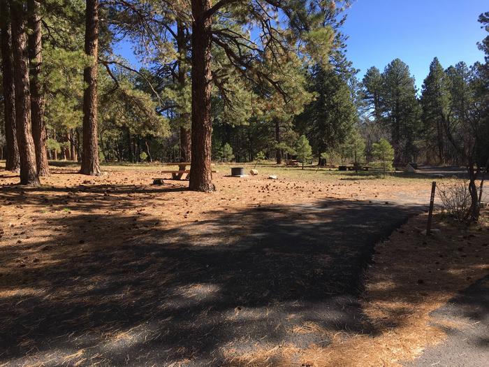 Picnic table, fire pit, and driveway for North Rim Campground, Site 12.