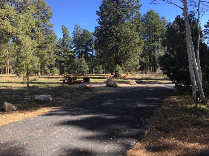 Picnic table, fire pit, and driveway for North Rim Campground, Site 13.