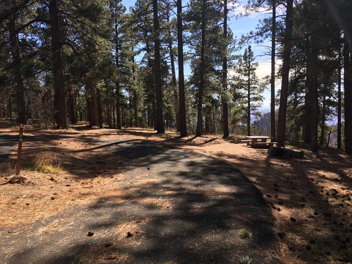 Picnic table, fire pit, and driveway for North Rim Campground, Site 14.