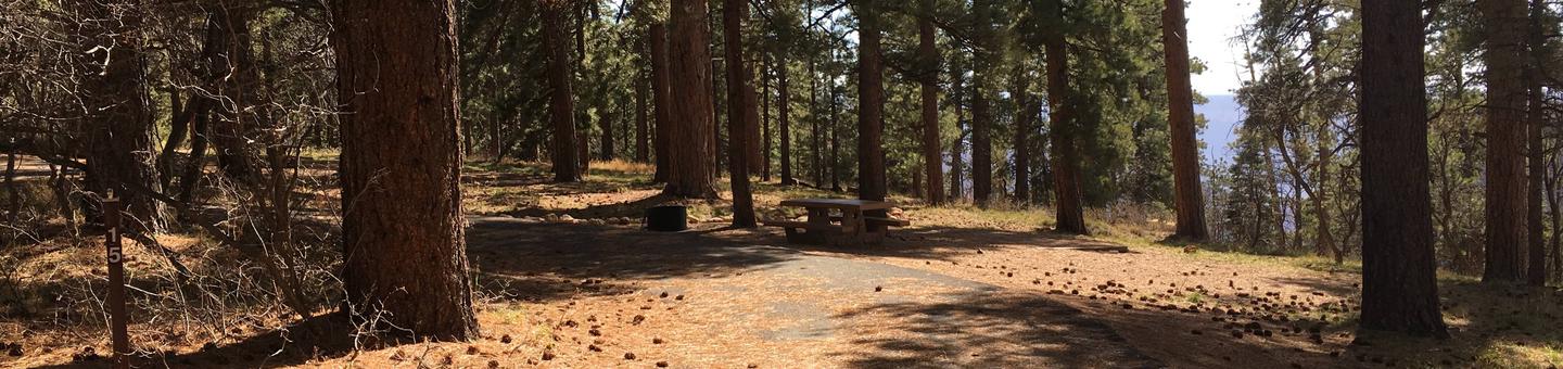 Picnic table, fire pit, and driveway for North Rim Campground, Site 15.