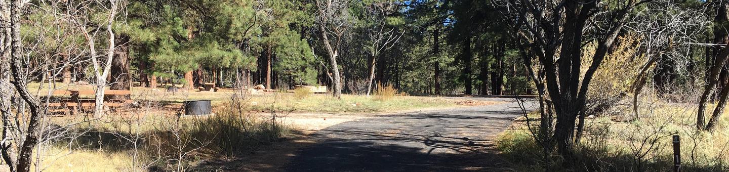 Picnic table, fire pit, and driveway for North Rim Campground, Site 17.