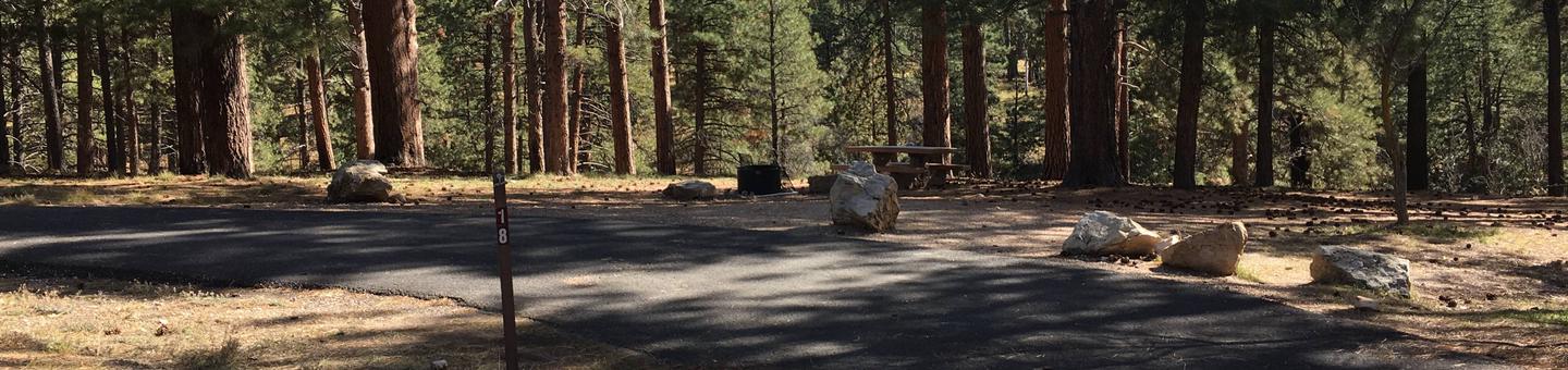 Picnic table, fire pit, and driveway for North Rim Campground, Site 18.