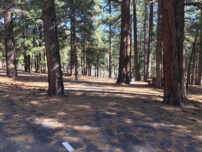 Picnic table, fire pit, and driveway for North Rim Campground, Site 19.