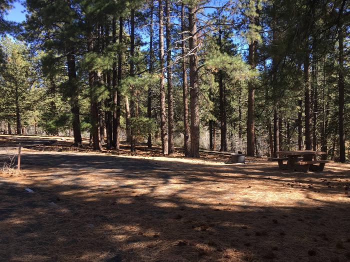 Picnic table, fire pit, and driveway for North Rim Campground, Site 21.