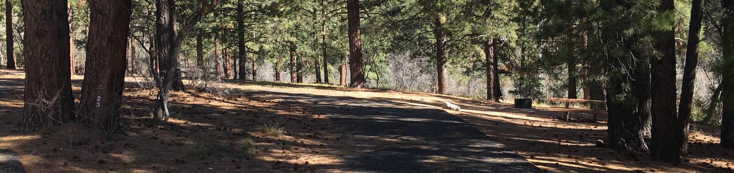 Picnic table, fire pit, and driveway for North Rim Campground, Site 23.