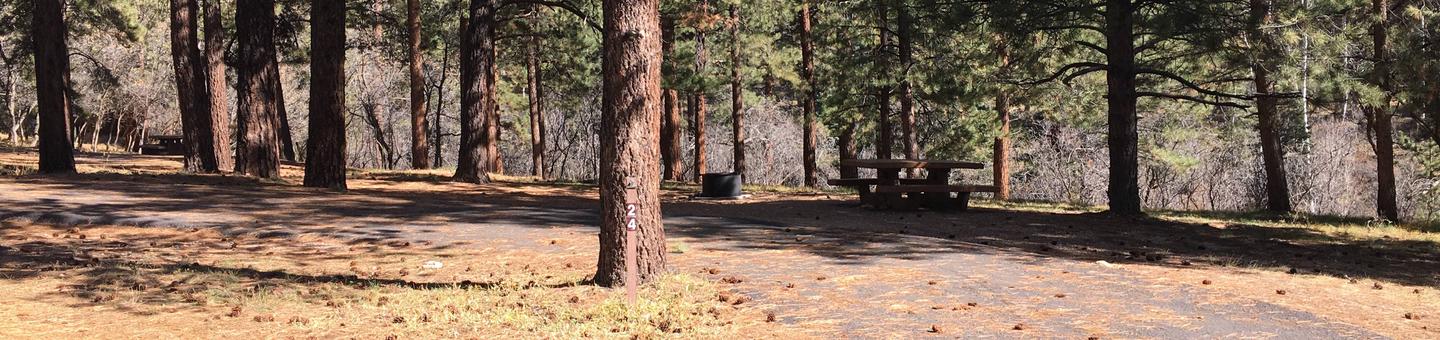 Picnic table, fire pit, and driveway for North Rim Campground, Site 24.