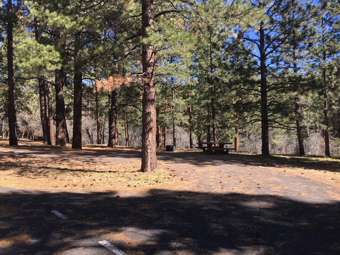 Picnic table, fire pit, and driveway for North Rim Campground, Site 24.