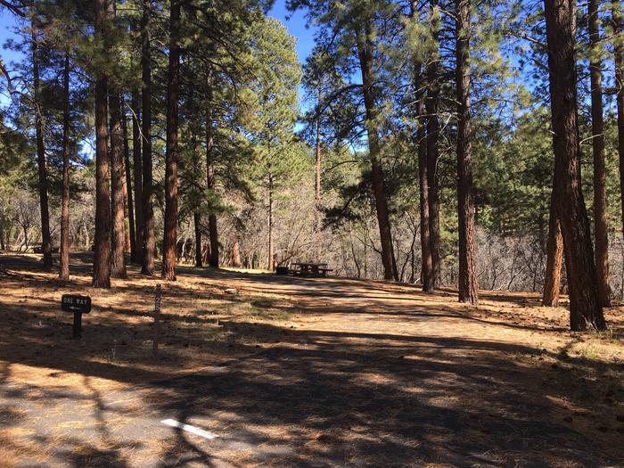 Picnic table, fire pit, and driveway for North Rim Campground, Site 25.