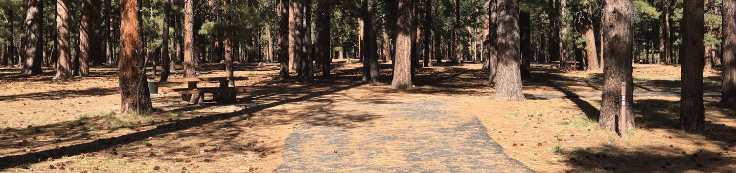 Picnic table, fire pit, and driveway for North Rim Campground, Site 26.