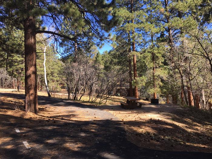 Picnic table, fire pit, and driveway for North Rim Campground, Site 27.