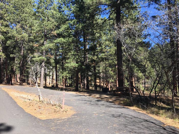 Picnic table, fire pit, and driveway for North Rim Campground, Site 28.