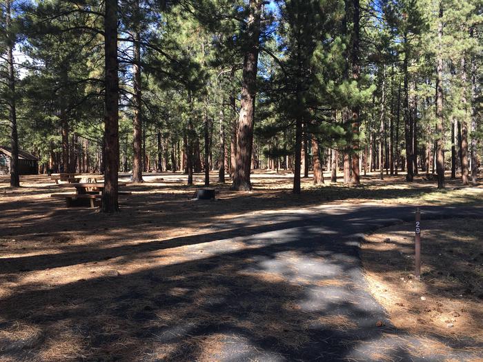 Picnic table, fire pit, and driveway for North Rim Campground, Site 29.