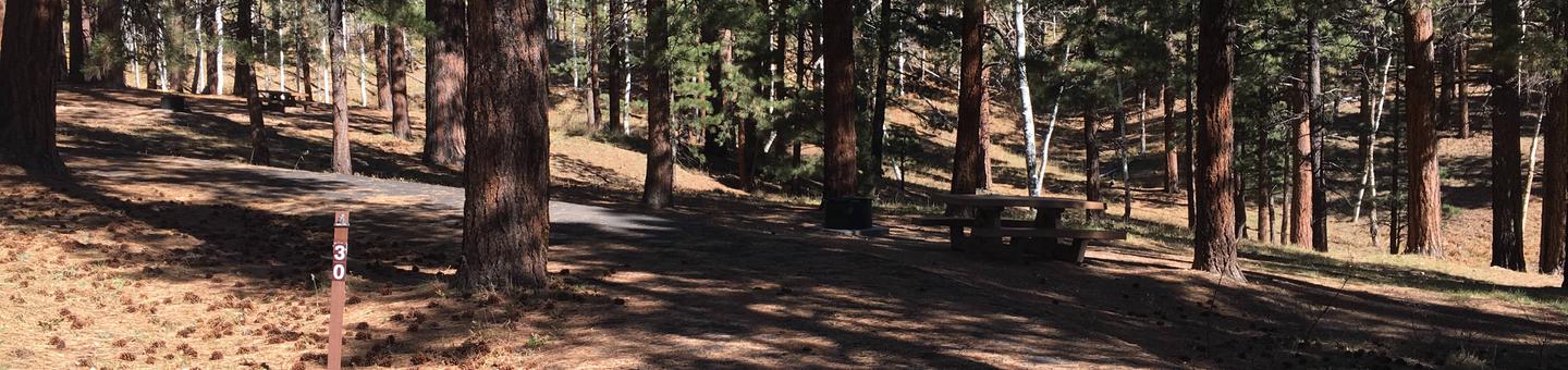Picnic table, fire pit, and driveway for North Rim Campground, Site 30.