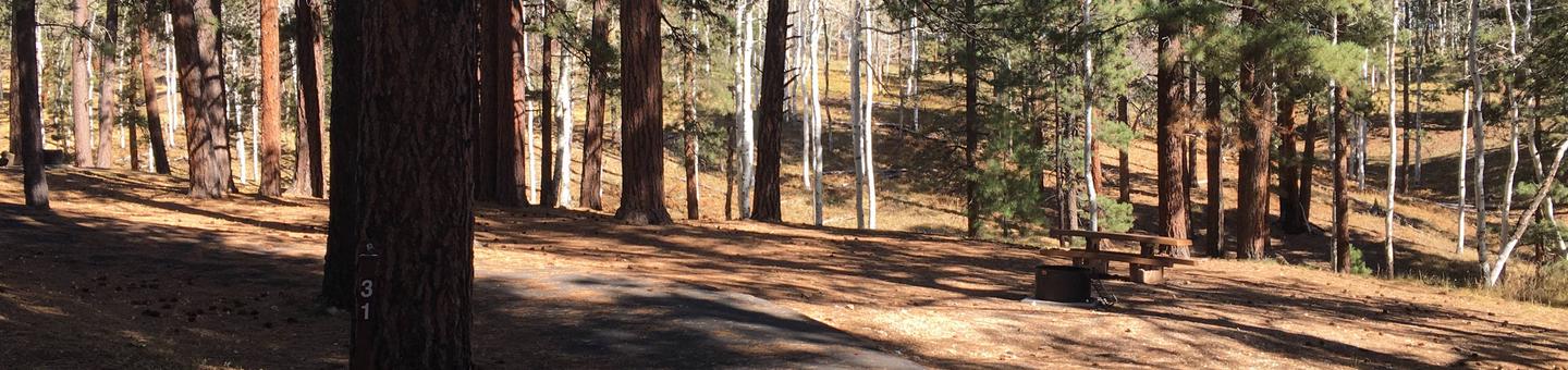 Picnic table, fire pit, and driveway for North Rim Campground, Site 31.