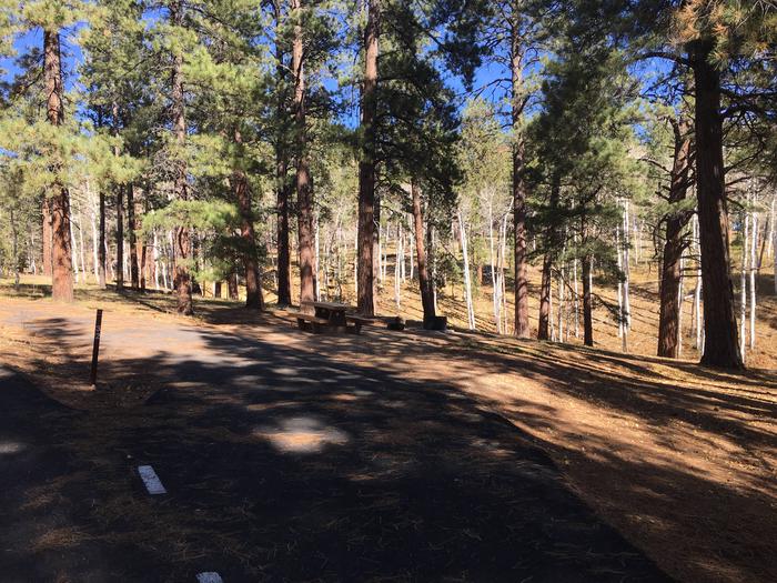 Picnic table, fire pit, and driveway for North Rim Campground, Site 32.