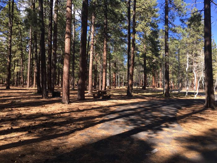 Picnic table, fire pit, and driveway for North Rim Campground, Site 33.