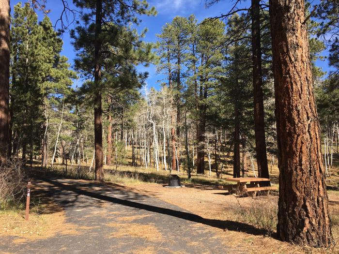 Picnic table, fire pit, and driveway for North Rim Campground, Site 34.