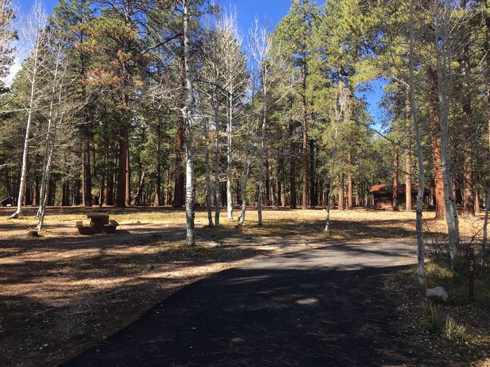 Picnic table, fire pit, and driveway for North Rim Campground, Site 35.