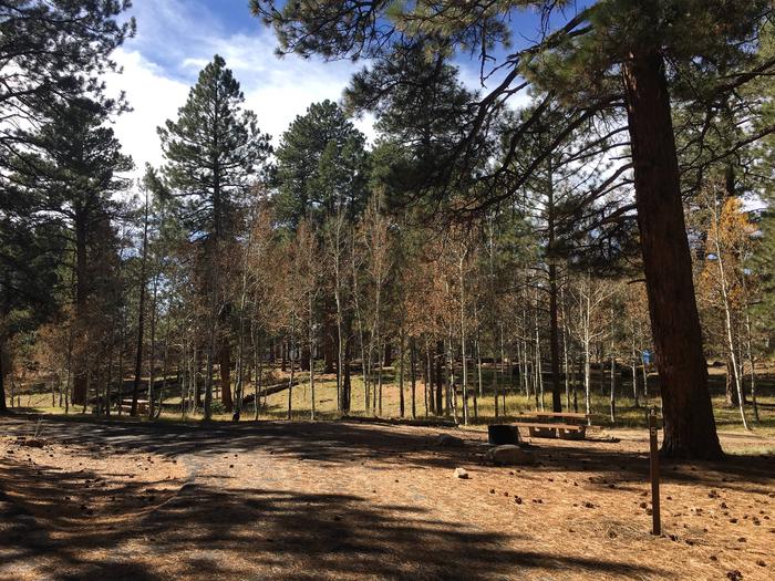 Picnic table, fire pit, and driveway for North Rim Campground, Site 5.