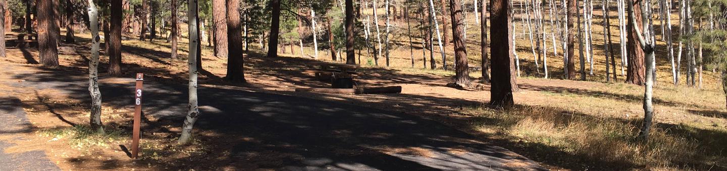 Picnic table, fire pit, and driveway for North Rim Campground, Site 36.